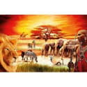 Puzzle 3000pcs Massai Pride
