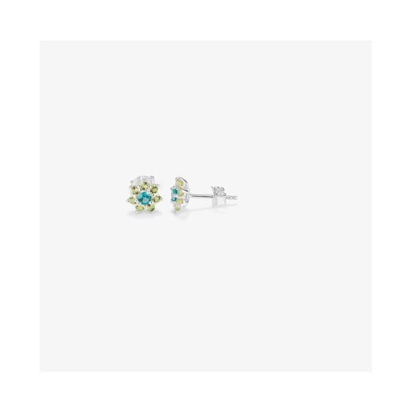 Øreringer for Kvinner Radiant RY000109