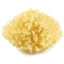 THERMOBABY Eponge de mer honeycomb n ° 10