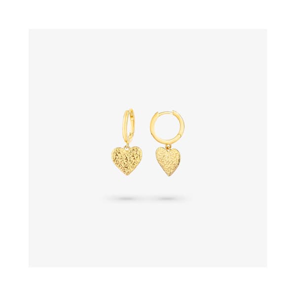 Øreringer for Kvinner Radiant RY000107