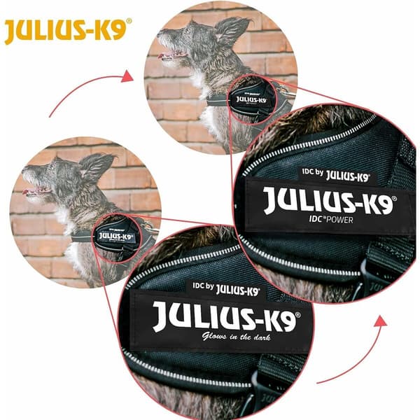 Hundesele Julius K9 IDC Svart