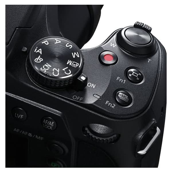 PANASONIC Bridge Lumix DC-FZ82D