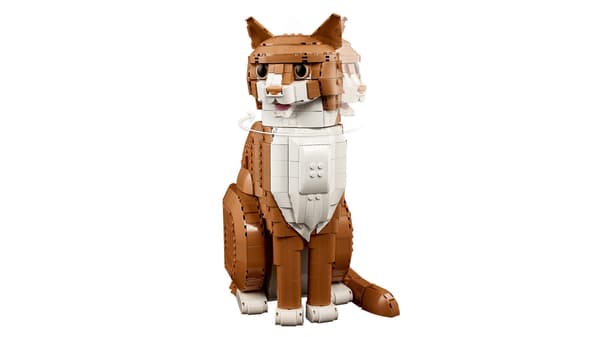LEGO IDEAS 21376 Oranssi kissa