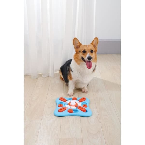 Intelligent spel - M PETS - COPERNIC - 25 x 25 x 3 cm - L2 Medium