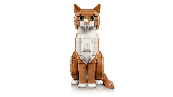 LEGO IDEAS 21376 Orange Kat