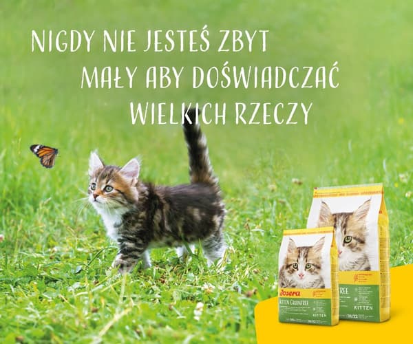 Josera 4032254755005 tørfoder til katte 2 kg killinger fjerkræ