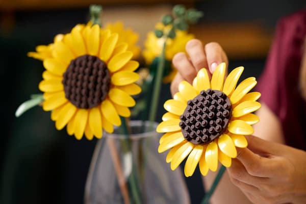 LEGO BOTANICALS 11502 Auringonkukkakimppi