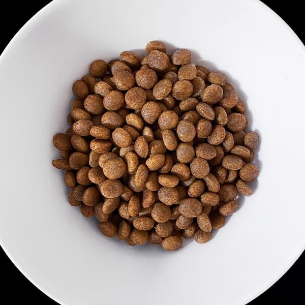 VET HYPPOALLERGENISK hundefoder 8 kg