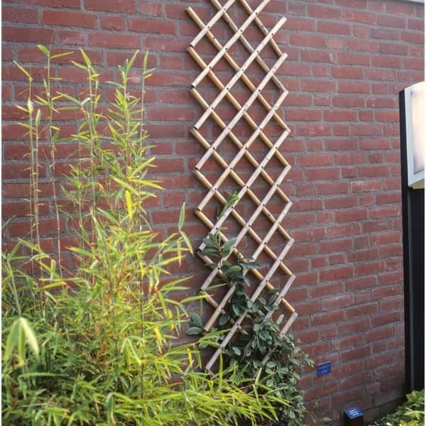 Expanderbart spaljé - NATURE - Bambu - 70 x 180 cm
