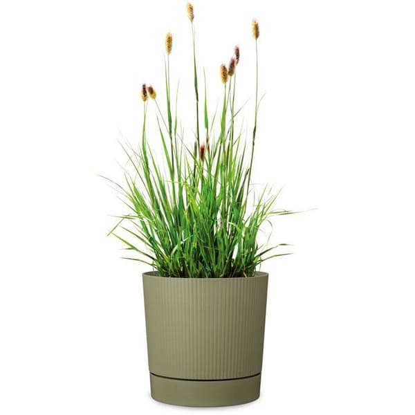 Istutuskone - RIVIERA - Terea - L 60 cm - Harmaa