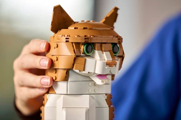 LEGO IDEAS 21376 Orange Kat