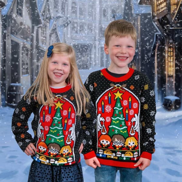 Jultröja - Harry Potter (Harry, Ron, Hermoine)