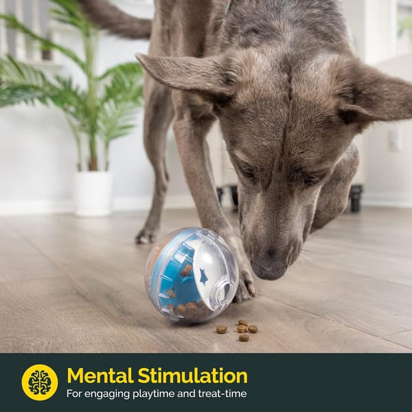 IQ Treat Ball Hundegodbidsdispenser Legetøjsbold Interaktiv Hundelegetøj - 10 cm Hundefoderstimulering, Langsom Foder