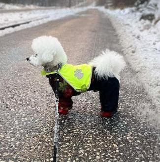 HUND REFLEXVÄST Feel Active Reflective Storlek S,M,L