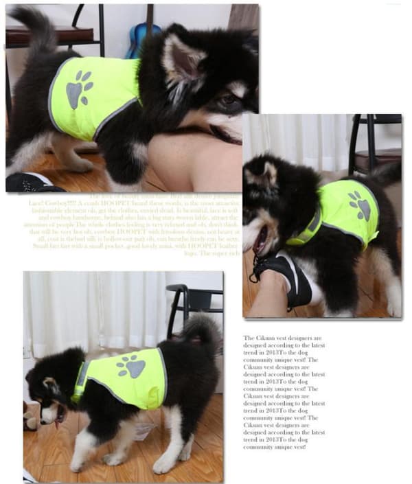 HUND REFLEXVÄST Feel Active Reflective Storlek S,M,L