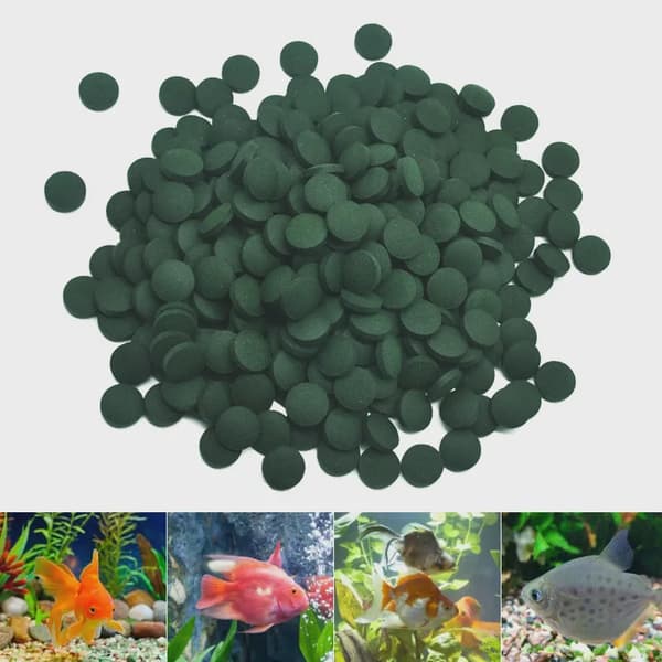 100/500 st Spirulina tabletter berikande favoritfoder fisk kristall röd räka djurfoder
