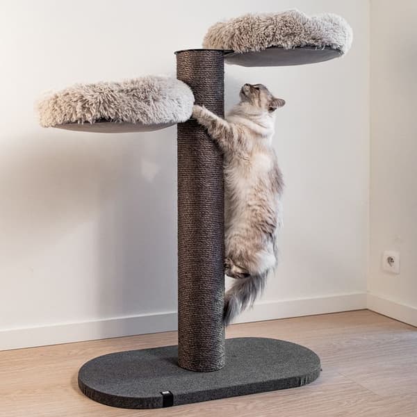 Kattträd Ebi Skye