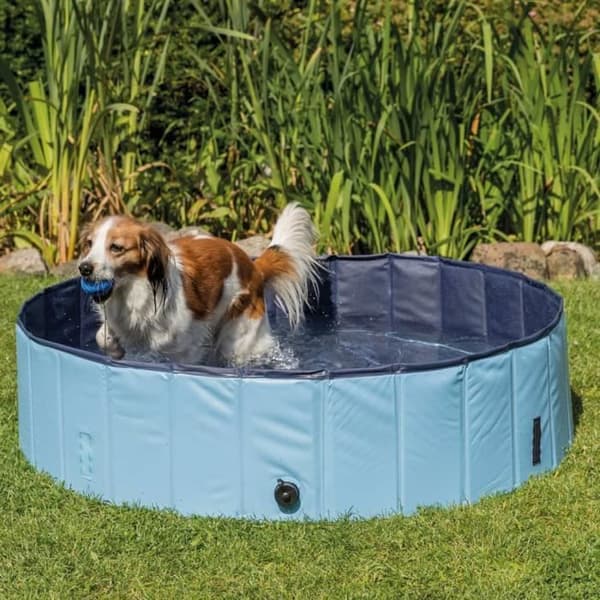 TRIXIE Hundpool 70x12 cm Blå