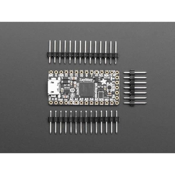 Adafruit ItsyBitsy M4 Express