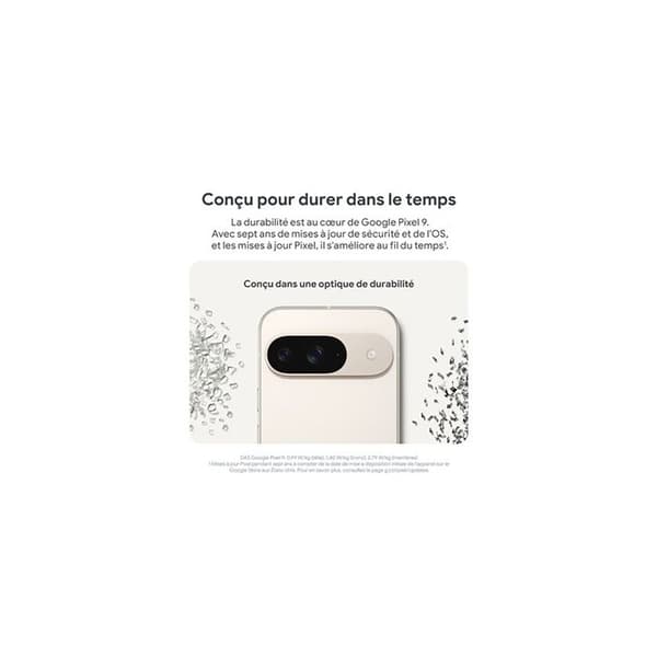 GOOGLE Pixel 9 256Go Vit Por