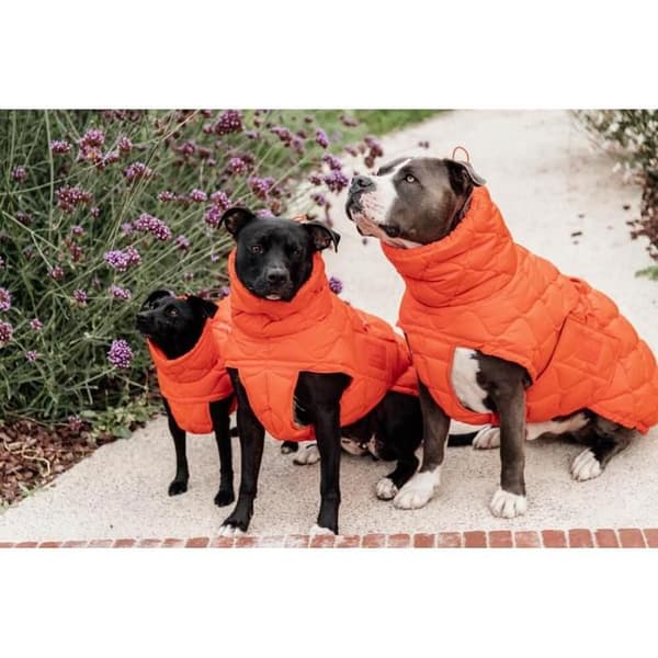 Hundmantel Kentucky Pina - M/L