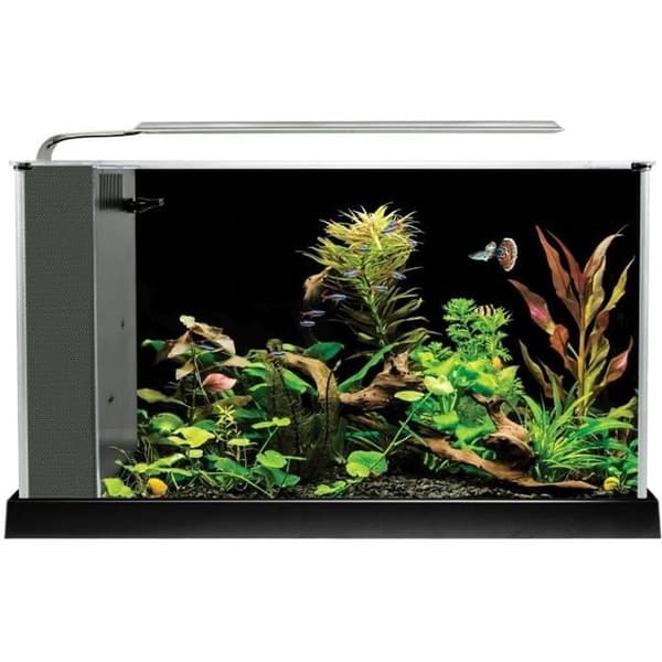 Aquarium Spec V - FLUVAL - 19 L - Svart