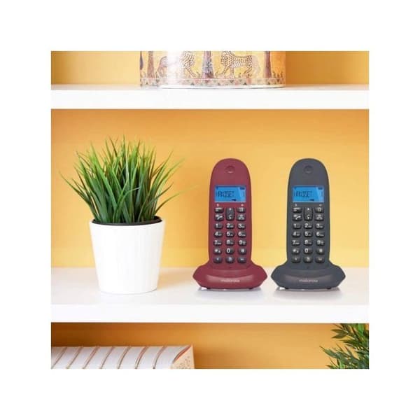 Fast telefon - MOTOROLA - C1002LB Duo - LCD - 2 handsets - Uppladdningsbart batteri