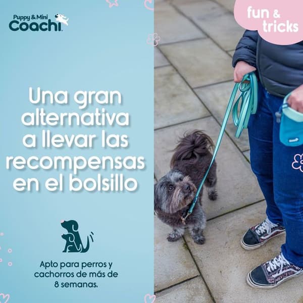 Coachi godispåse för hund
