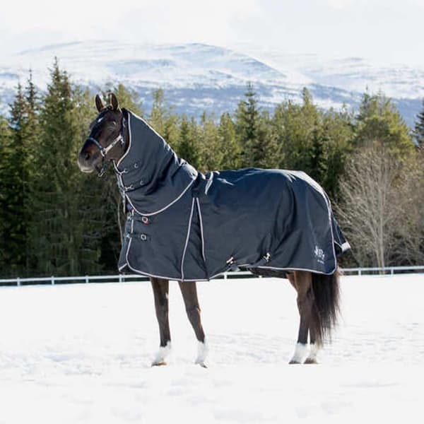 Utomhustäcke för häst B Vertigo Georgina - 145 cm