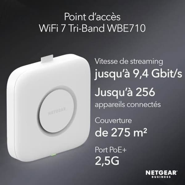 Netgear WBE710-100EUS Trådlösa åtkomstpunkter