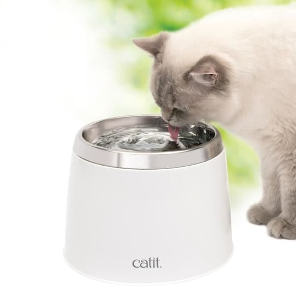 CAT IT kattvattenfontän - Vitt stål - 2L - Inomhus