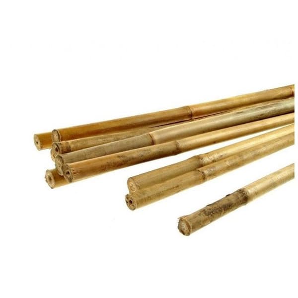 Bambustutor - Stor - 120 cm - 12-14 mm - 50 stycken - Bambuträ - Växtstöd - Lätt - Robust