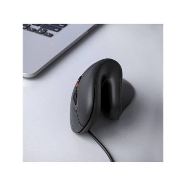 Mus - EQUIP - 245119 - Vertikal ergonomisk design - USB Typ A/Typ C - 7200 DPI