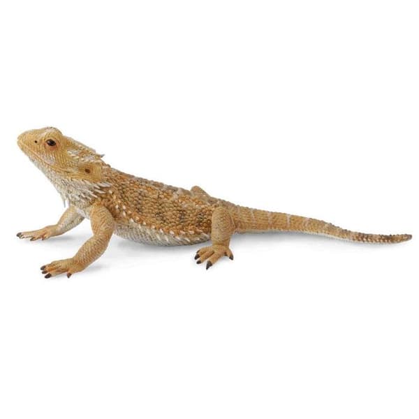 Reptilfigur: Bearded Dragon