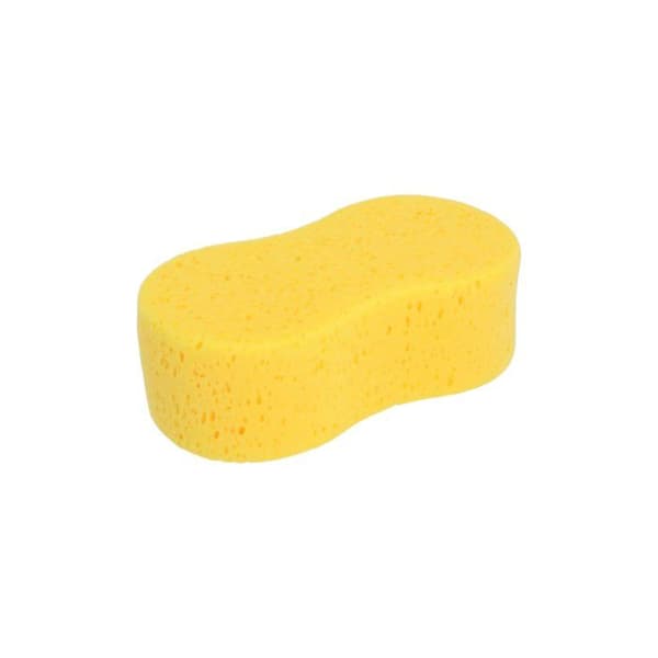 Jumbo svamp