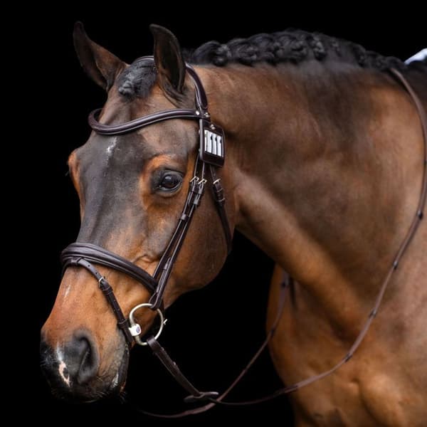 Hästsportnummerhållare HV Polo Legacy
