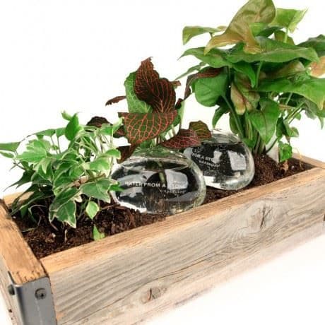Dekorativa föremål - Kikkerland - Vattendrag - Glas - Nutida - Design