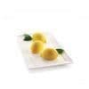 SILIKONFORM 6 CITRONER 3D DELIZIA LIMONE - SILIKOMART