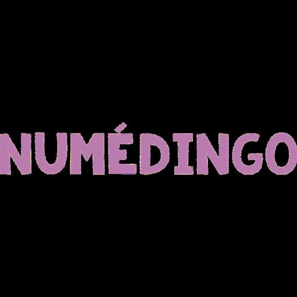 Numédingo PS-MS - Familjespel