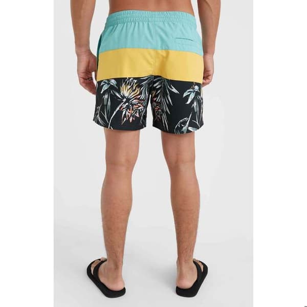 Kortsbyxor O'Neill Mix & Match Cali Block 15"
