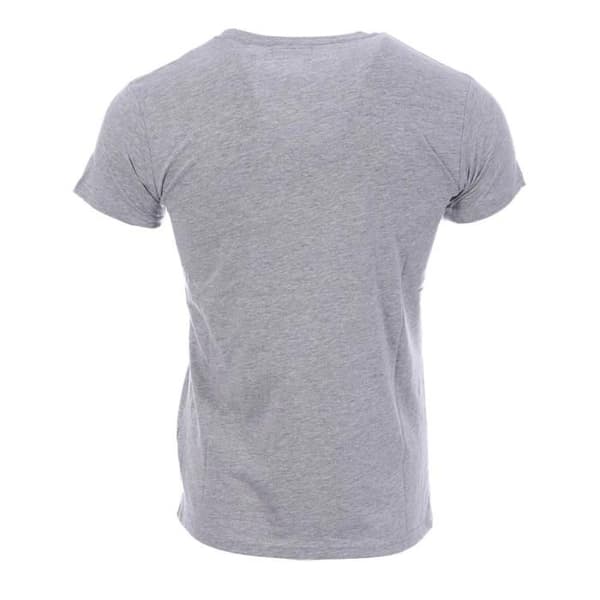 Grå T-shirt herr Schott NYC broderad