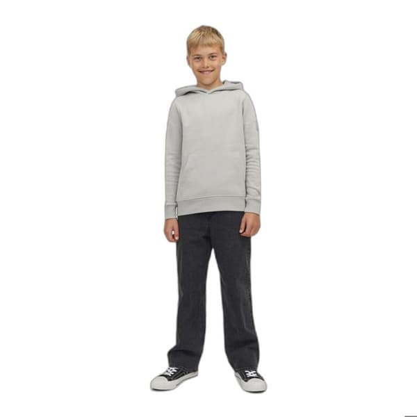 Jeans barn Jack & Jones Alex Original MF