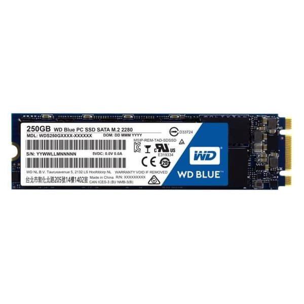 WD Blue™ 250 GB M.2 2280 WDS250G1B0B