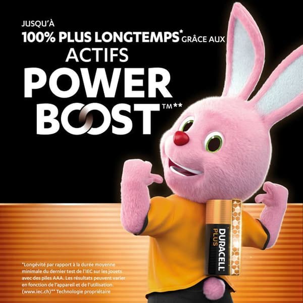 Engångsbatterier - Duracell - LR03 - Plus Power - Paket med 12 - 1,5 V