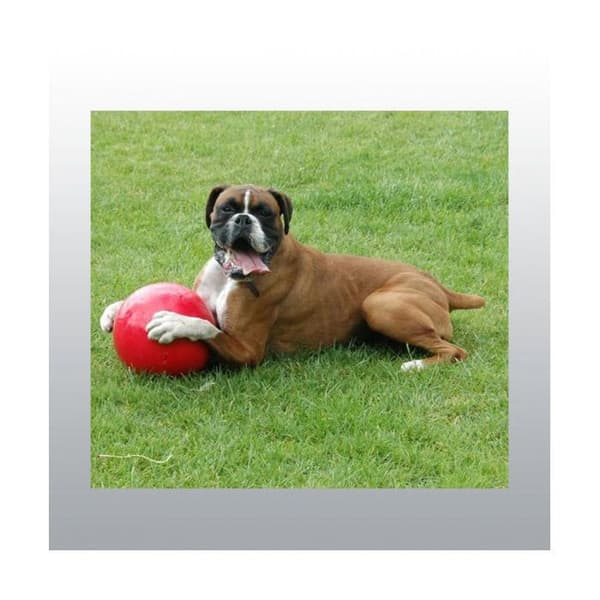 Boomer Ball 25cm