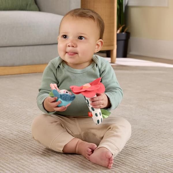 Fisher-Price Shake & Hochet Busy Bee