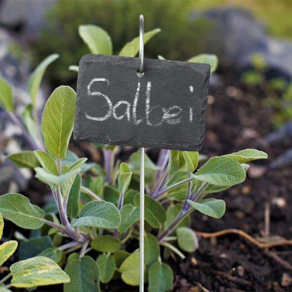 Relaxdays griffeltavlor för växter, 12-pack, skrivbara, hållbara, skyltar, antracit - silver