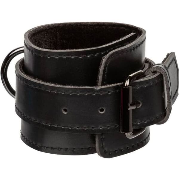 CALEXOTICS - CALEXOTICS - EUPHORIA SVINHALSBAND