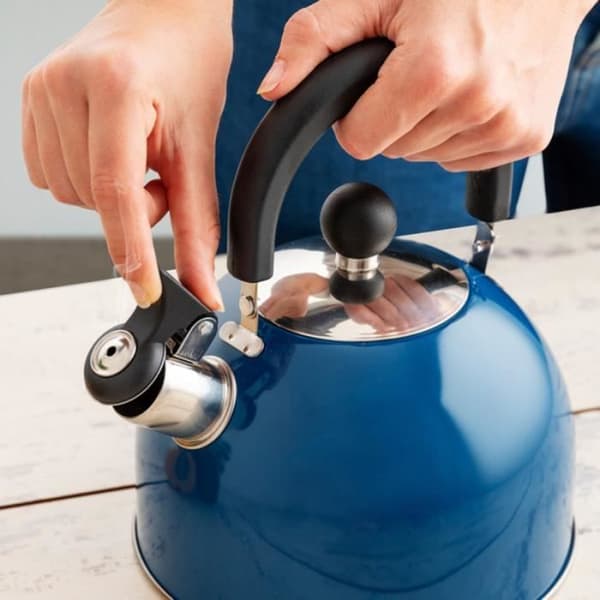 Vattenkokare Quid Blue Rostfritt stål (2 L)