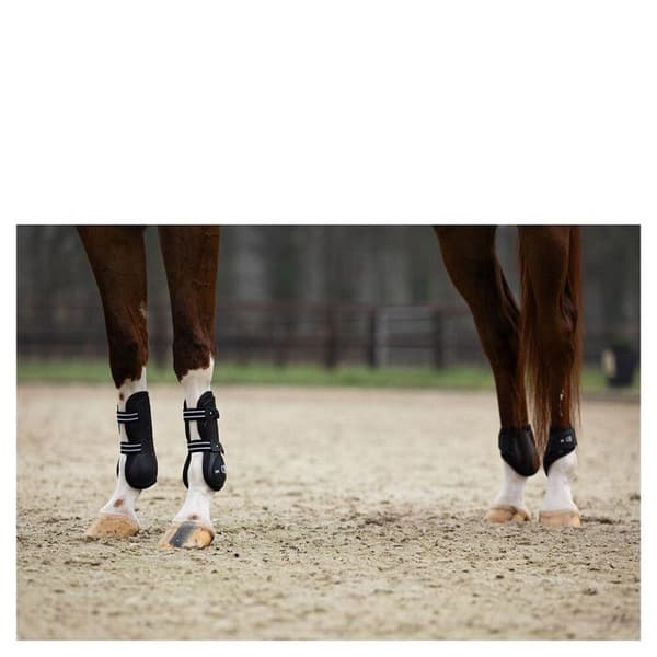 Skydd för hästens senor BR Equitation XO2